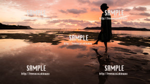 sample_67