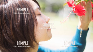 【緑ヶ丘公園】ハイビスカスと女の子 写真素材