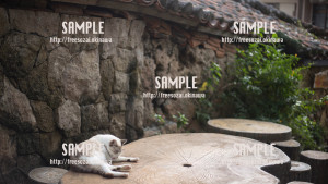 【やちむん通り】木の上で休憩する猫 写真素材